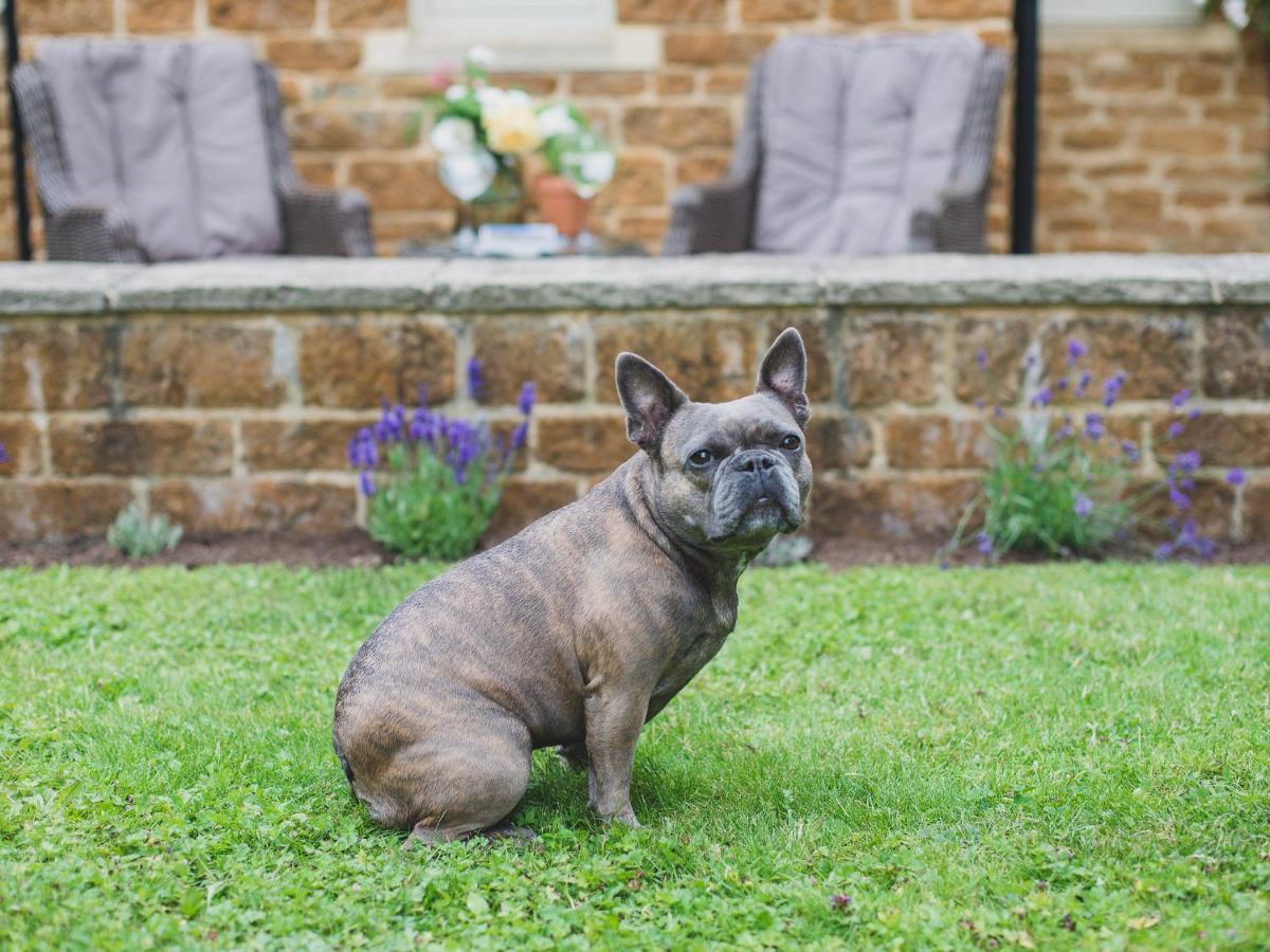 Climbing Rose Cottage - Dog Friendly - Peaceful Cotswold Cottage Adlestrop ภายนอก รูปภาพ